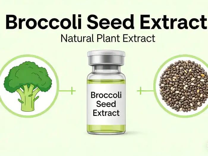 Where to Buy High-Quality Broccoli Seed Extract Online?